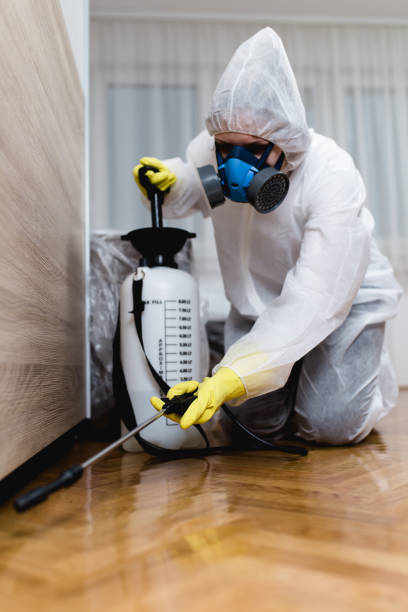 Best Residential Pest Control  in Halesite, NY